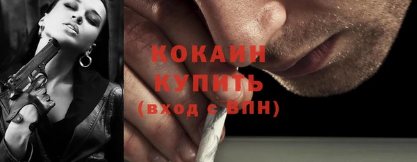 шишки Балабаново