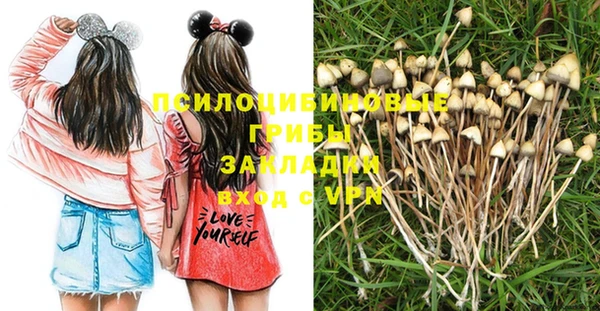 шишки Балабаново