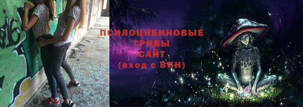 твердый Рославль