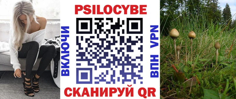 Галлюциногенные грибы MAGIC MUSHROOMS  OMG сайт  Высоцк 